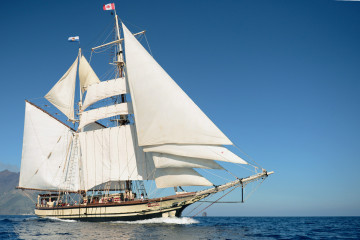 Florette in Full Sail Blue Sky